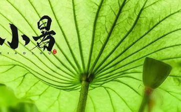 2023年小暑是几月几号 2023年什么时分小暑