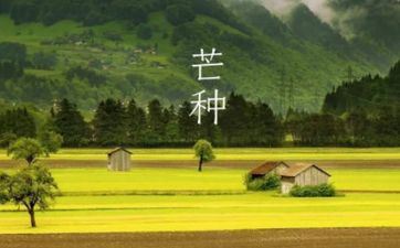 2023年芒种是几月几号几点几分 2023年芒种是哪一天