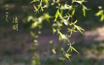 为什么2023年清明只要一天假