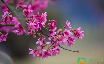 2023年10月哪天理发最好 2023年10月合适理发吗