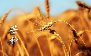 2023年芒种是几月几号？芒种是哪一天？