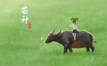 间隔2023年芒种还有多少天/现已多少天