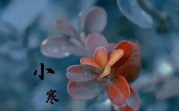 2023年虎年大寒搬迁好不好 是进新房的好日子吗