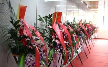 2023年3月23日阴历闰二月初二龙头节能不能搬家 今日莺迁吉祥吗