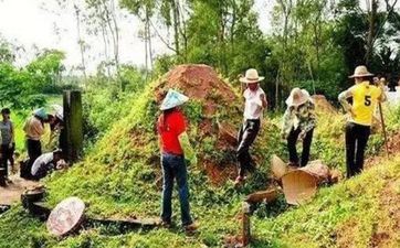 2023年山东清明节上坟时刻 清明节气温大约多少度