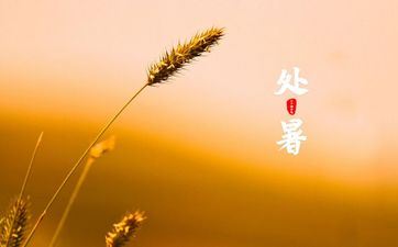 2023年处暑往后还热吗 深圳十大消暑基地排名