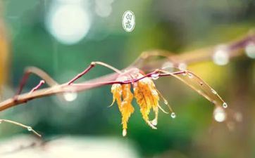 2023年白露是黄道好日子吗 这天时辰吉凶查询