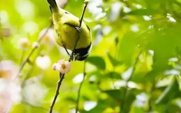黄历择日 属兔的2023年7月开市好日子是哪几天