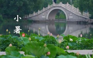 2023年小暑几天后是入伏 小暑几天暑头伏