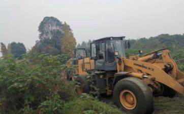 2022年11月15日合适出门玩耍吗 2022年11月15日是什么日子