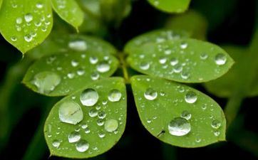 2022白露还热吗要热多久 2022白露节气一般气温多少度