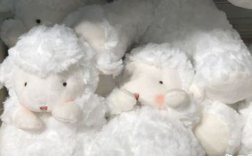 2023年属羊人阴历一月搬迁好吗 属羊人正月搬迁好日子查询