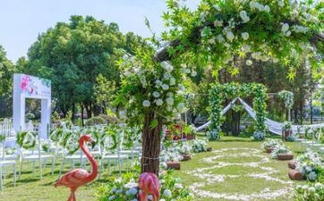 2024年10月5日成婚好不好 今日日子好吗