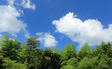 2023年立夏是几月几号 立夏是几月几号何时2023年