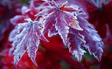 2022年腊月二十四日财神方位在哪？怎样求财顺畅