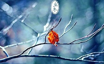 立冬是每年的11月7号吗 立冬交节是几点钟