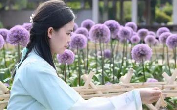 2023年1月14日成婚好吗 2023年1月14日宜成婚吗