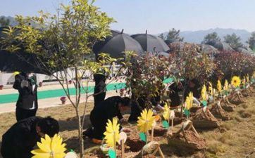 阴历2023年二月十九能不能出殡 二月十九是安葬好日子吗？