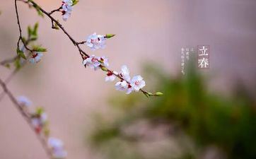 2022年打春是立春吗