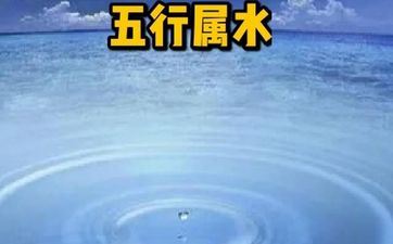 2023年水命缺什么 水兔性情剖析