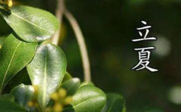 立夏节气的涵义和传统 涵义开端进入夏天