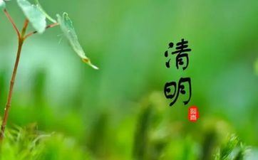 清明节挂青怎样挂？清明节去墓地的次数有规则吗