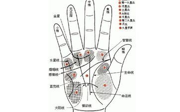 怎么经过手相看命运吉凶图 怎么经过手相看命运吉凶