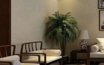 考试前风水忌讳 考试前风水忌讳剪指甲