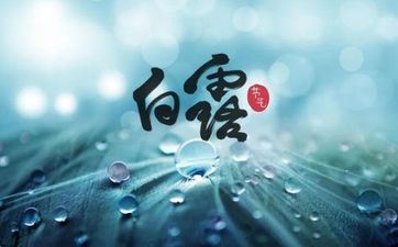 白露出世的人好吗？这天出世的人命运怎么？