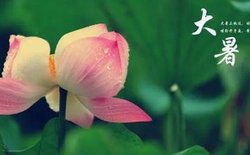 大暑节气的风俗活动及传统美食