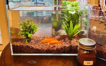 亲人相继离世的风水 家里挂死去亲人相片风水