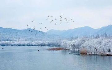 2023大雪节气最火祝愿语