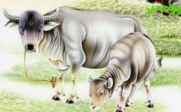 2024年2月11日属相牛五行穿衣攻略