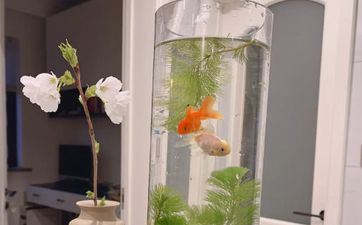 20个招财风水细节 能让你一夜暴富！