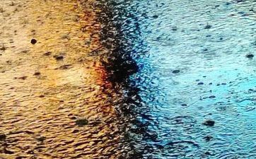 立夏饭的涵义是什么 立夏饭是哪里的传统