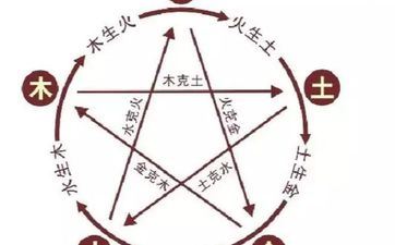 2024年10月29日属相猪五行穿衣攻略