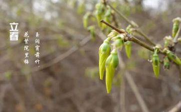 2023年正月十四出行好吗 2月4日正月十四立春能出门吗