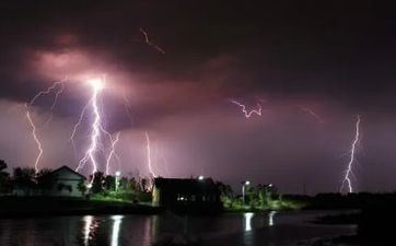 车撞狗了怎样除倒霉 开车压死狗了是福仍是祸