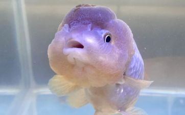 晚上扫地好不好 扫地的风水忌讳