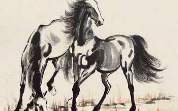 2024年10月15日属相马五行穿衣攻略