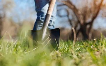清明节固定于公历4月5日前后