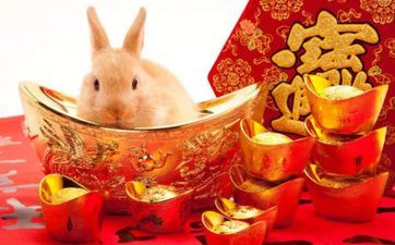 2023年属兔最旺几月 属兔女几月出世大富大贵