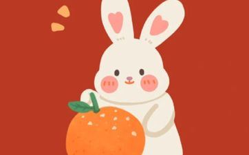 2024年6月6日属相兔五行穿衣攻略