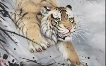 2024年2月10日属相虎五行穿衣攻略