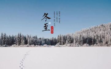 2024年最新冬至吃饺子由来故事收成优异