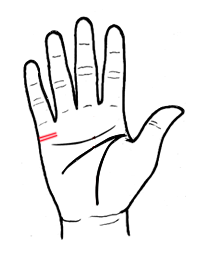 从婚姻线看爱情真假胜败