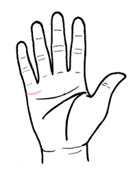 从婚姻线看爱情真假胜败