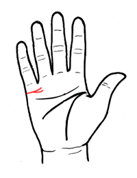 从婚姻线看爱情真假胜败