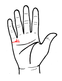 从婚姻线看爱情真假胜败