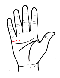 从婚姻线看爱情真假胜败